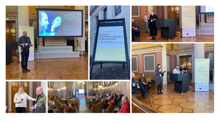 collage of photos of various speakers and hosts at the conference